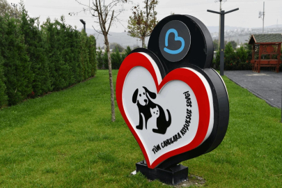 Balıkesir’de can dostlar Büyükşehir eliyle güvende