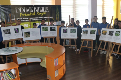 Yalova'da 29 endemik bitki geleceğe aktarılıyor