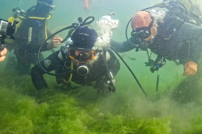 İzmit Körfezi'nde umut veren dalış... Başkan Büyükakın ve uzmanlar canlanan ekosisteme daldı