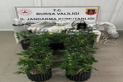 Bursa İnegöl’de evde esrar üretimine Jandarma baskını
