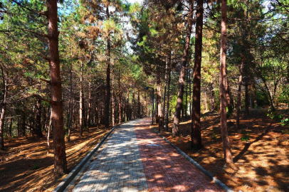 Sakarya'da Sapanca Gölü'nde huzur dolu yaşam alanı açıldı