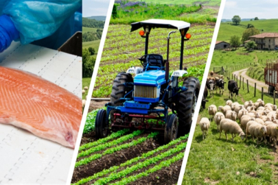 IPARD III’te yeni takvim açıklandı... Kırsala 241 milyon avroluk dev hibe