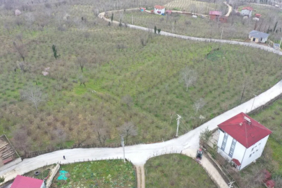 Ordu Büyükşehir’den Kumru’da yol seferberliği