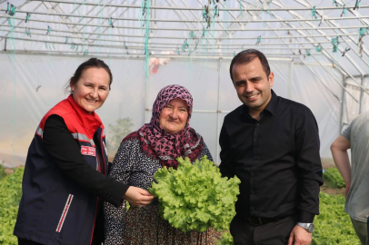 İpsala Esetçe’de 'Meryem Teyze' örneği... Yüzde 75 hibeli serada verimlilik artıyor