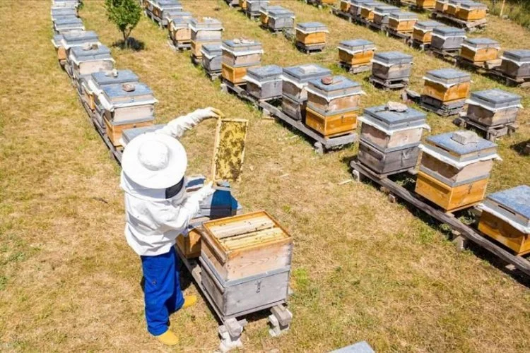 Bursa İnegöl Belediyesi'nden 250 adet 'arı kovanı' desteği